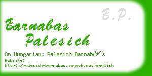 barnabas palesich business card